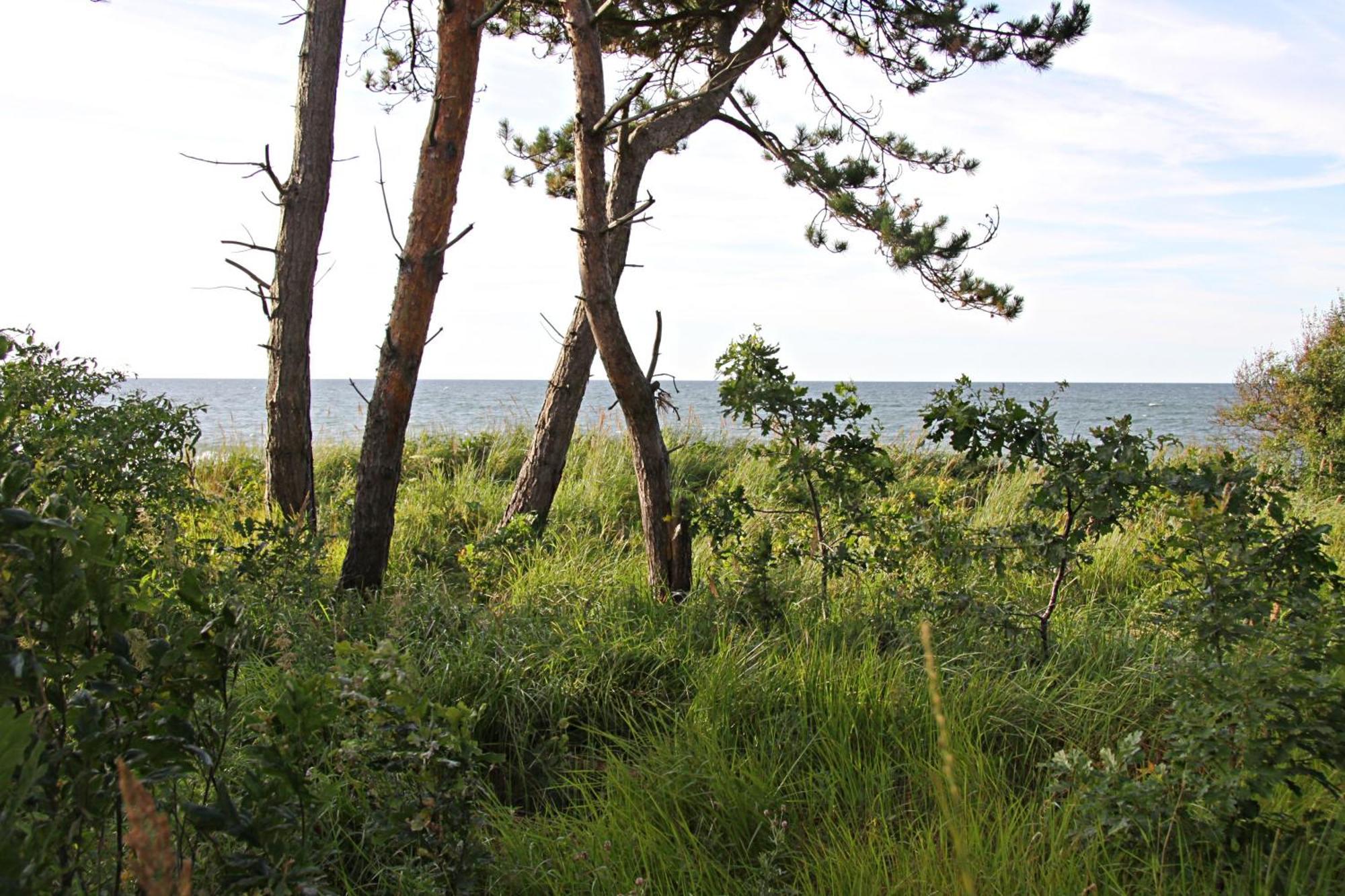 Let'S Sea - 2 Bedroom - Premium Baltic Apartment With Front Sea View Garden And Spa Access กาสกี ภายนอก รูปภาพ